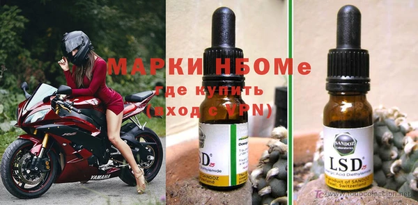 прущие грибы Алексин
