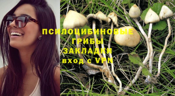 Альфа ПВП Алзамай