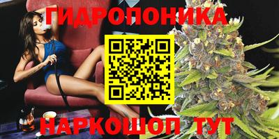 spice Ставрополь