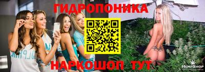 spice Ставрополь