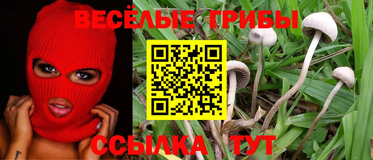 Псилоцибиновые грибы ЛСД Салават